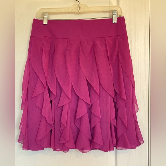 Ann Taylor Dresses & Skirts - Ann Taylor fuchsia ruffled skirt.